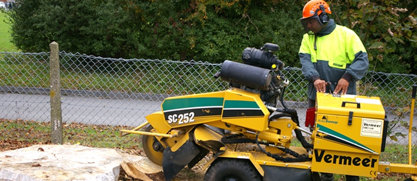 Bawden Tree Care Stump Grinding Removal Specialists