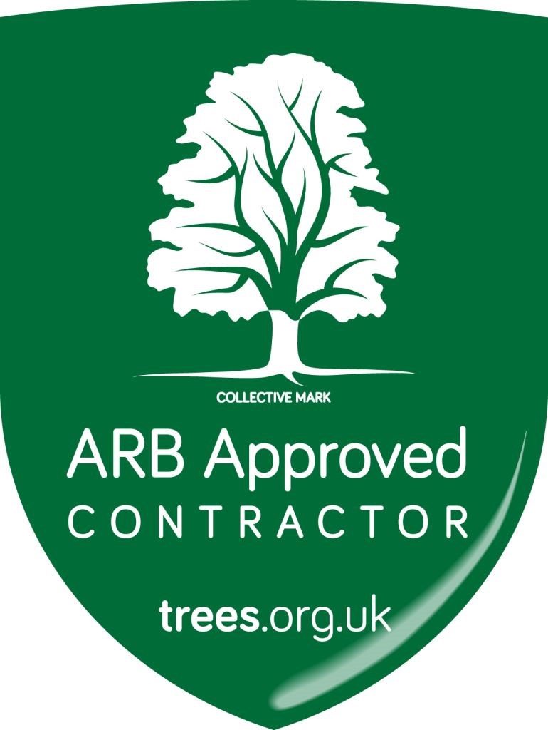 We are Arboricultural Association Approved Contractors! 