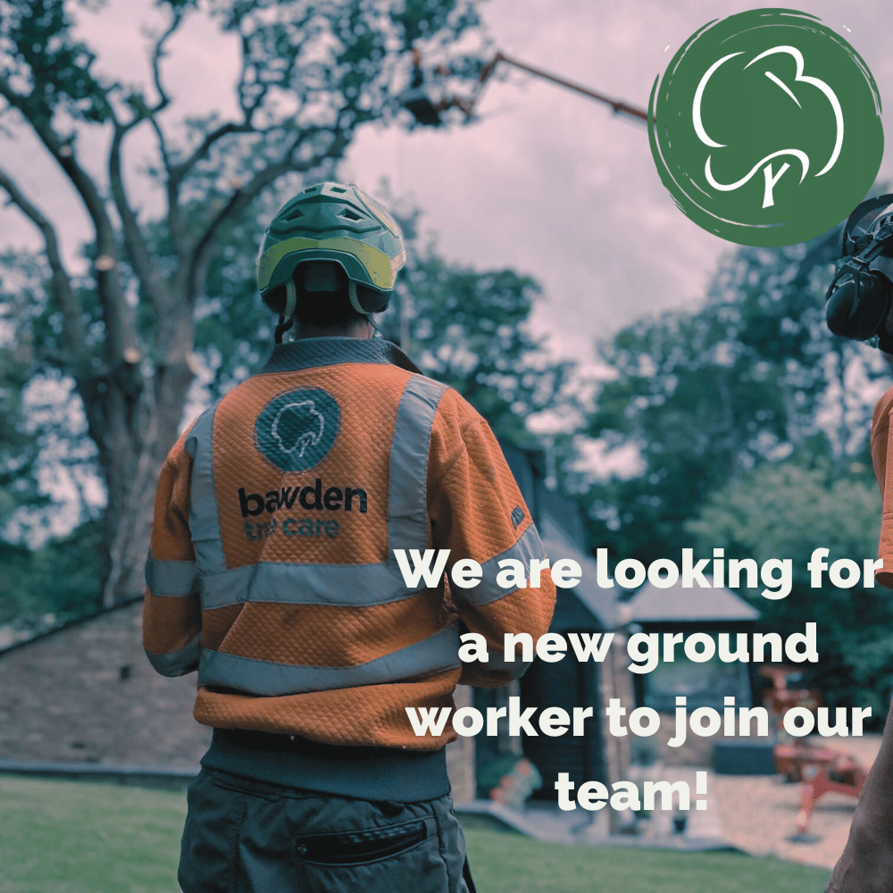 Groundie Job Wiltshire Area