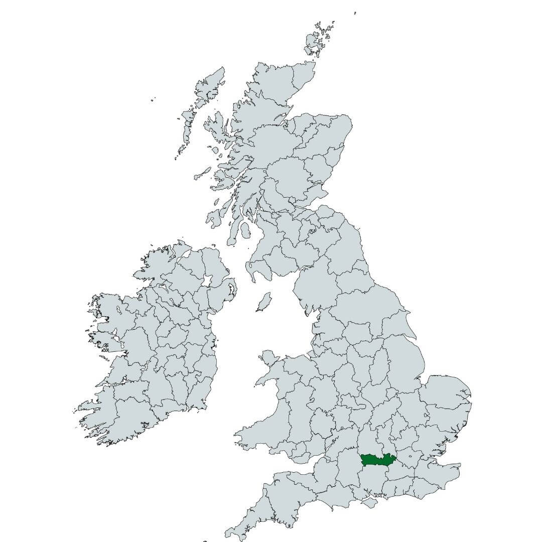 Tree Surveys Berkshire