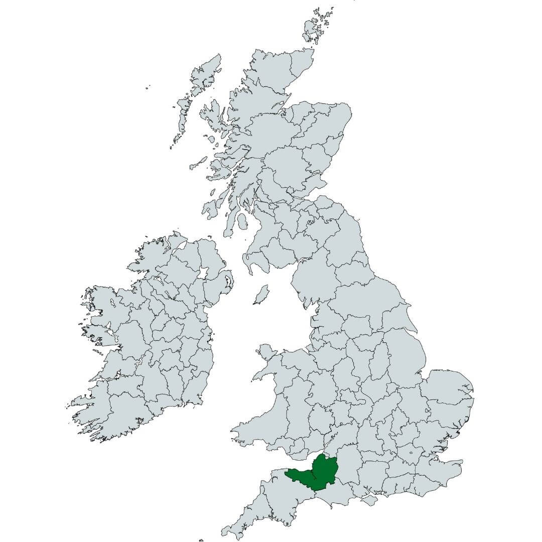 Tree Surveys Somerset