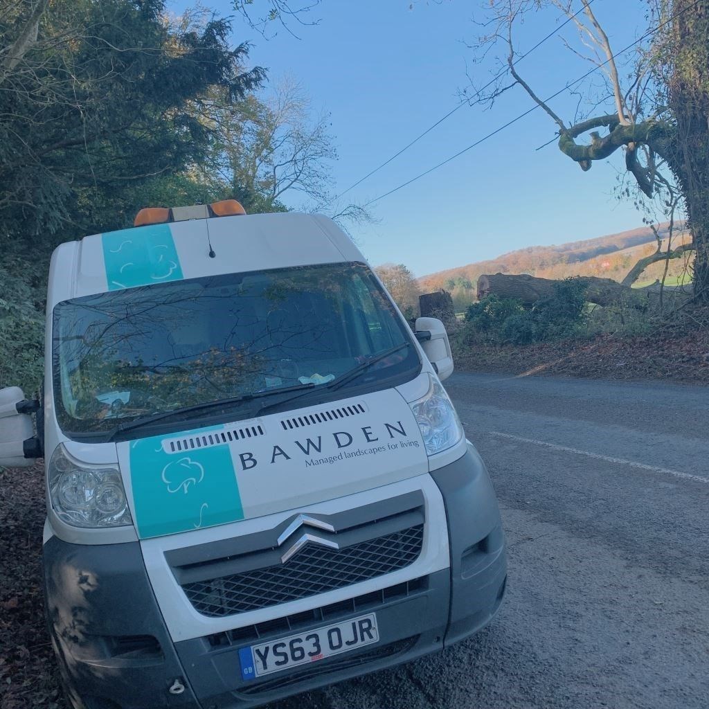 Bawden Tree Care Complete Another Fell