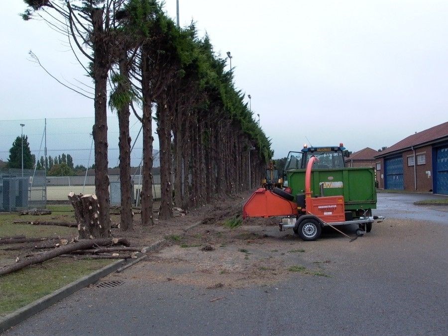 Hedge cutting, removal of Conifer hedge in Shrivenham Swindon Wiltshire