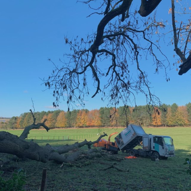 Bawden Tree Care Complete Another Fell