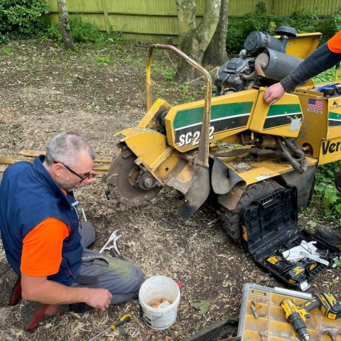 Stump grinder new teeth fitted for stump removal