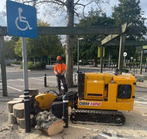 Stump grinding specialists Andover