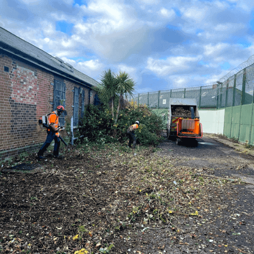 Vegetation Clearance