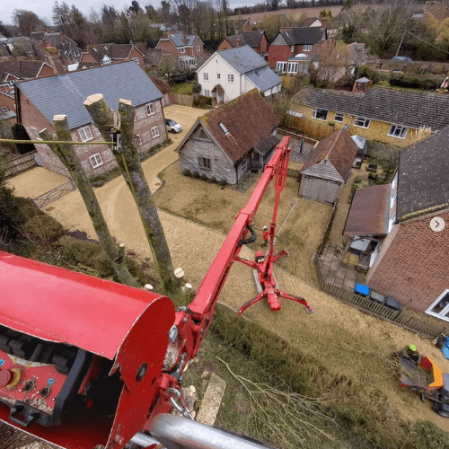 Aerial tree surgery