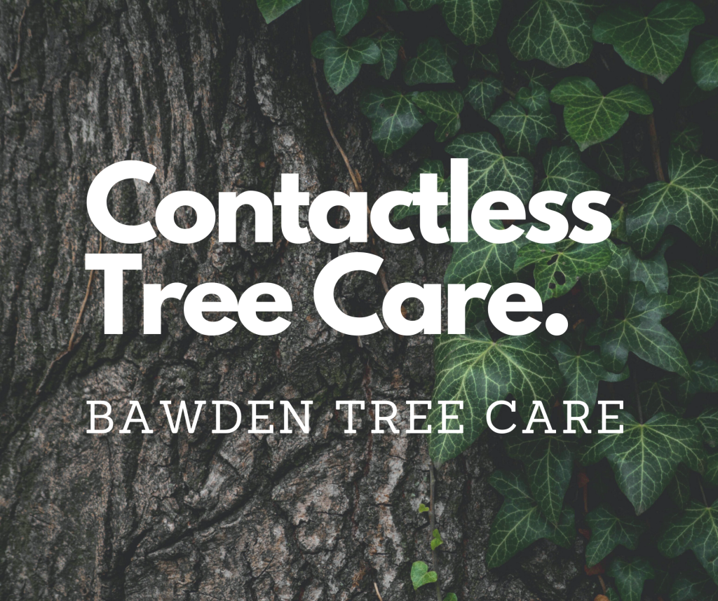 Contactless Tree Care - COVID-19 Response