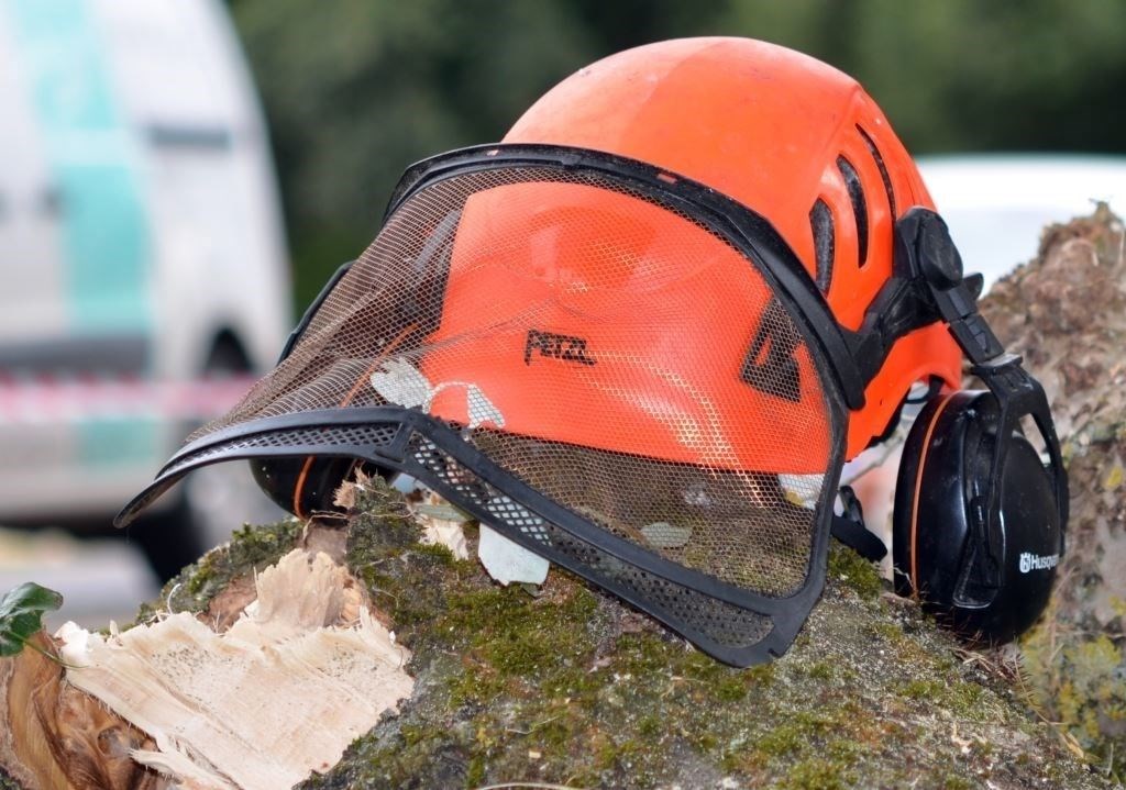 Supporting Tree Surgeon Apprenticeships 