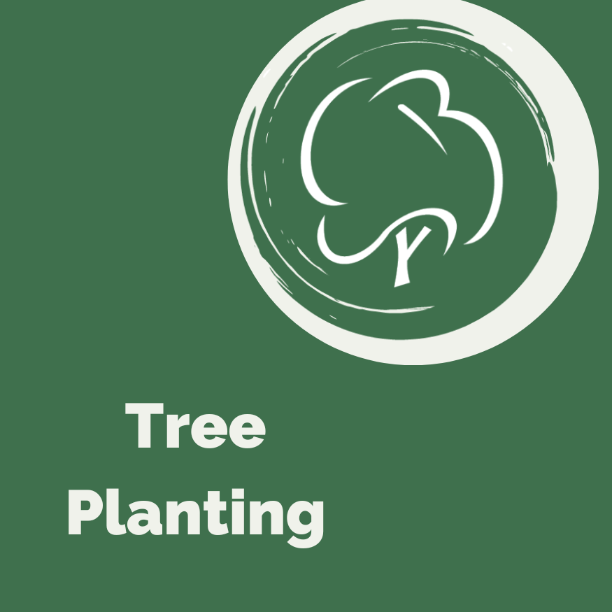 Tree Planting