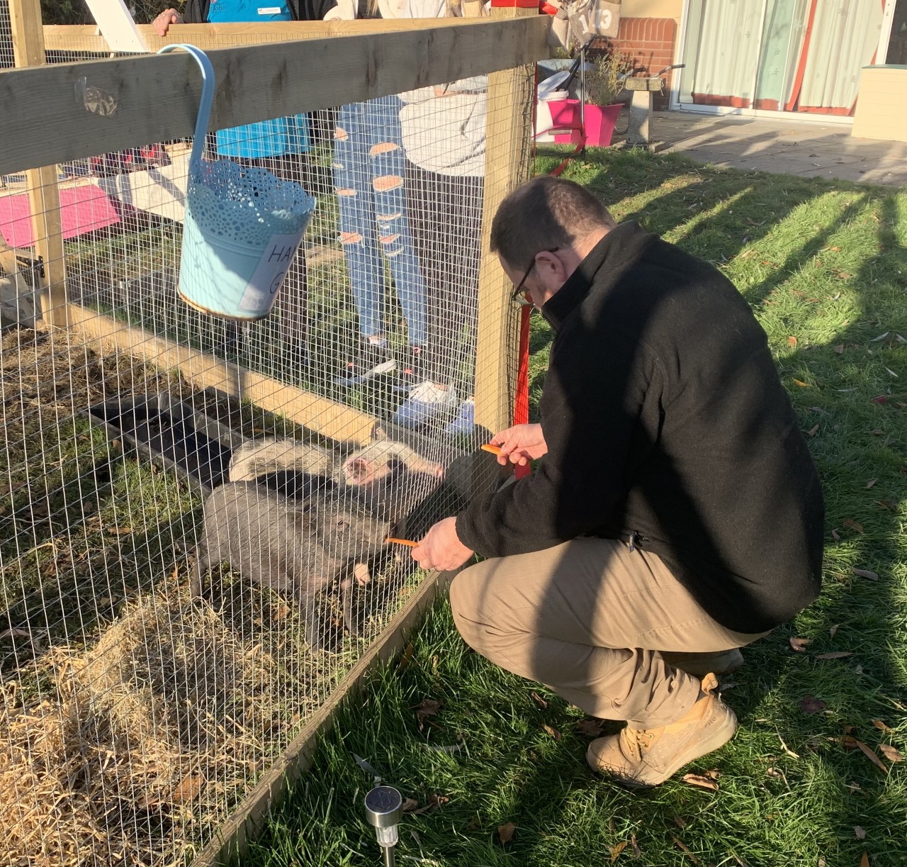 Alex feeds the micro pigs.